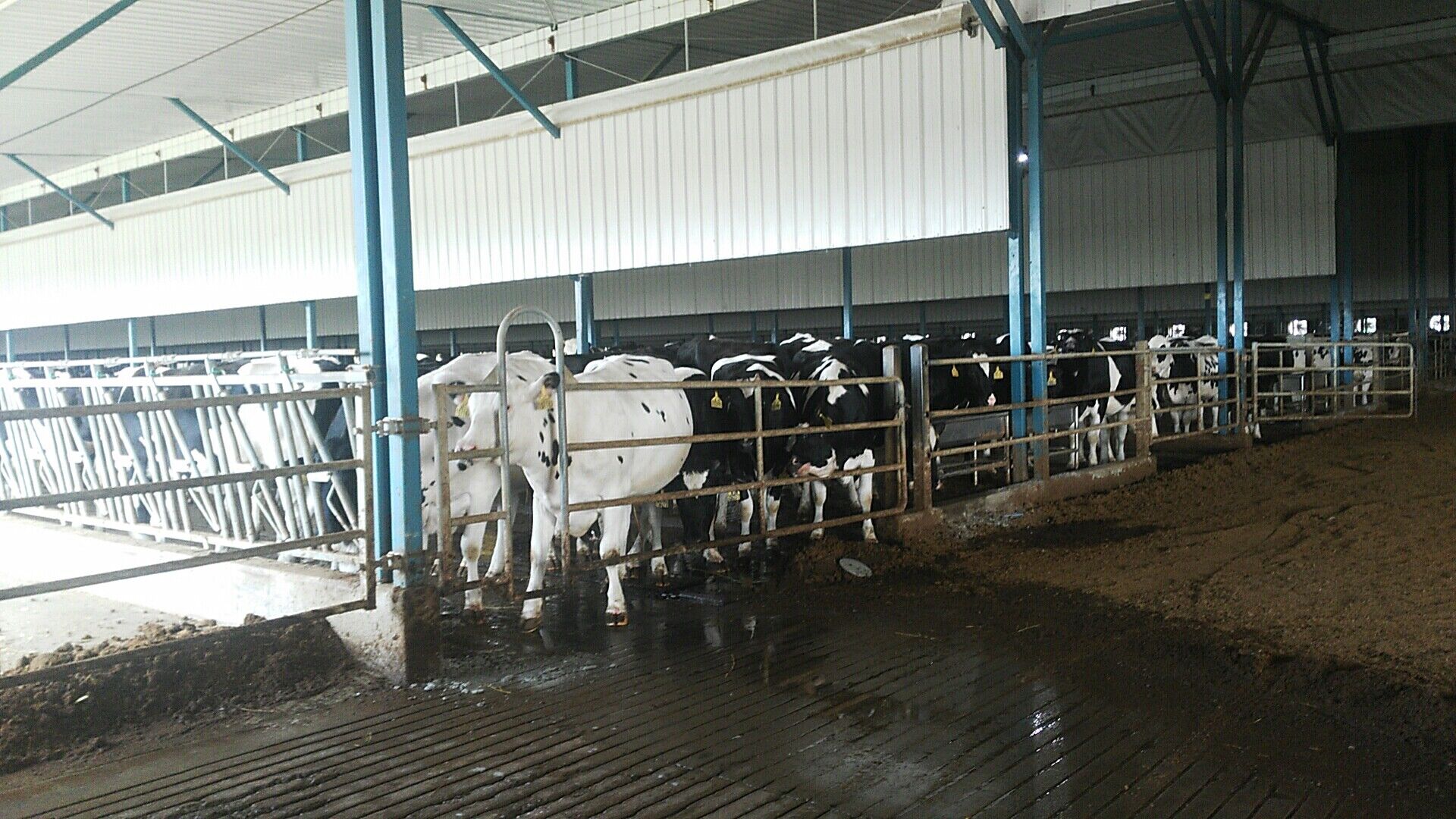 QQ图片20220520160439